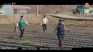 When The Weather Is Fine Ep 16 End Sub Indo