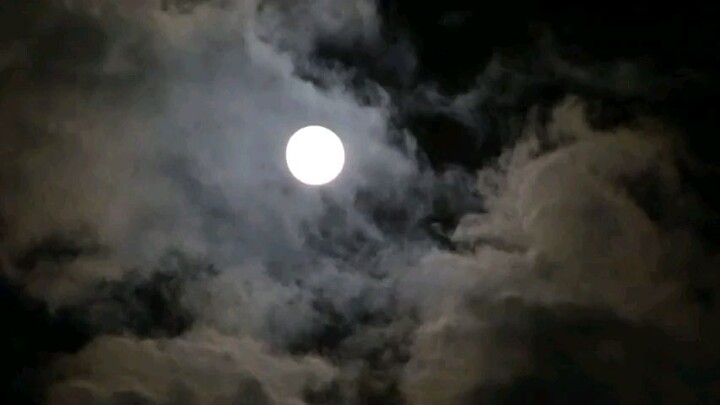 Night
