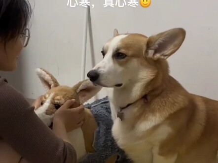 البرود الحقيقي لا يأتي أبداً من المشاجرات الصاخبة