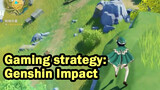 Gaming strategy: Genshin Impact