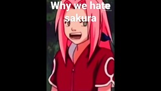 Why we hate sakura