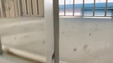 Sewa Rumah di Shanghai – Model Kamar Asrama Muda dengan Tempat Tidur di Atas dan Meja di Bawah, Nikm