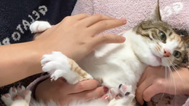 It’s been five years, but my daughter still can’t accept her stepfather… what should I do?