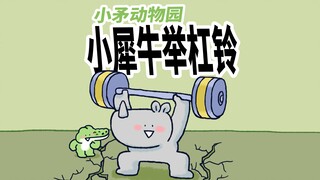 【小矛动物园】小犀牛举杠铃，很轻松。