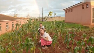 Cầu Vồng ở Châu Phi có Khác Việt Nam không--2Q vlogs cuộc sống châ
