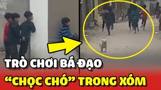 Trò chơi BÁ ĐẠO mà còn trẻ ai cũng phải thử: CHỌC CHÓ 😂 | Yêu Lu