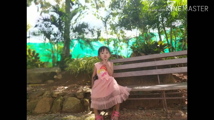 ใบเฟิร์น