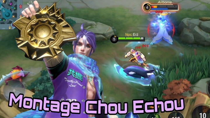 Montage Chou Echo full santay