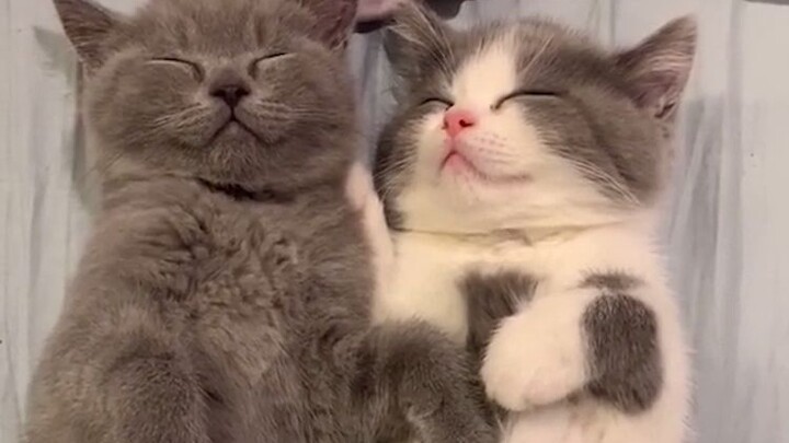 حتى التمطّط بتكاسل يكون متزامنًا.. هل الجمال المحبوب معدٍ؟