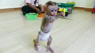 Oops! Maki got one pie of vegetable steal from mom and run 2-leg so fast escape