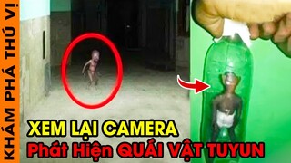 🔥Xem Lại Camera Người Dân LẠNH GÁY Khi Phát Hiện 7 Sinh Vật Bí Ẩn Xuất Hiện Không Rõ Nguồn Gốc |KPTV