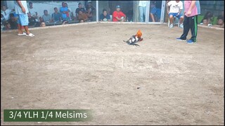 YLH na may konting melsims