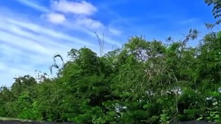 先努力奋斗，再大方拥有🍀