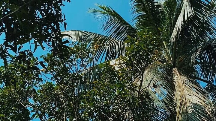 নীল আকাশের । ভিডিও-০৬