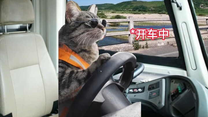 ด้านความยืดหยุ่นและปรับเปลี่ยนได้
