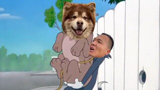 艾特的窝