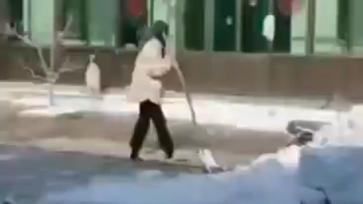 قطة الحليب. إم بي فور