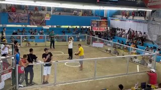 Pasig square 2 hits first fight win grey