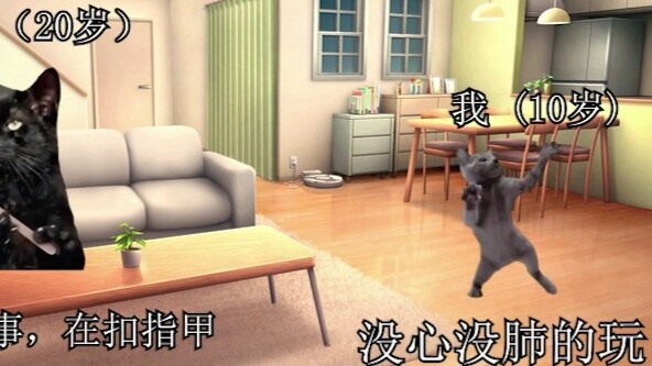 【Cat meme】The story of my brother secretly coming to my house to look for my sister for the first ti