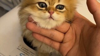 搬家大促销预告哟