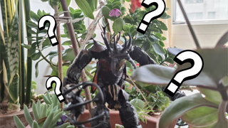 no???