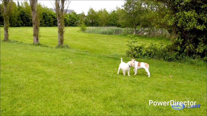 Roisin And Sean's What Made Those Tracks Review