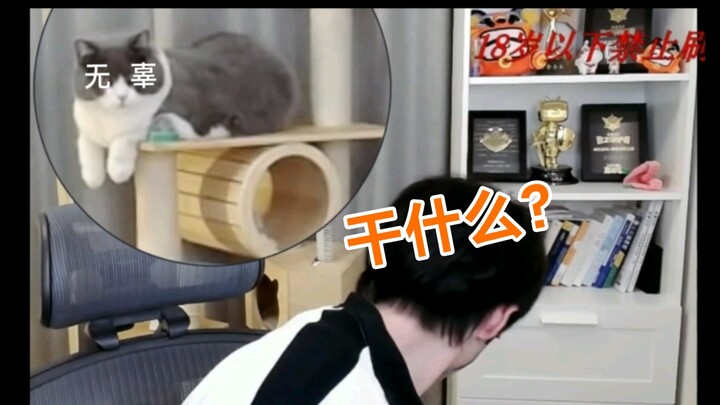 ［Wen Tao］Ada apa dengan kucing-kucing kecil ini, satu demi satu malah memberontak