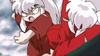 Tôi chỉ thấy một chú chó con đầy ghen tị 🐶