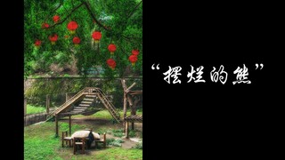 Chongqing | The Sloppy Bear