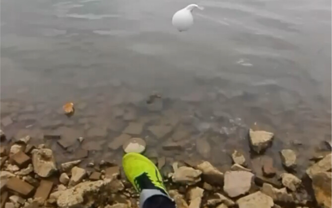 Bad at everything else, but the best at fishing for pufferfish!