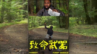 《寂静之地》禁止使用泻药