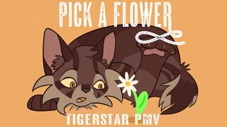 CW: blood & eyestrain | Pick a flower - Tigerstar PMV/Animation Meme