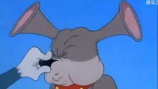 【Kucing dan Tikus】Senang melayani