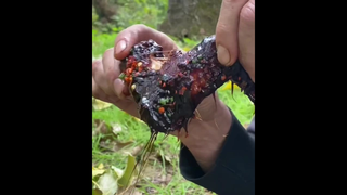 หวานเจี๊ยบ