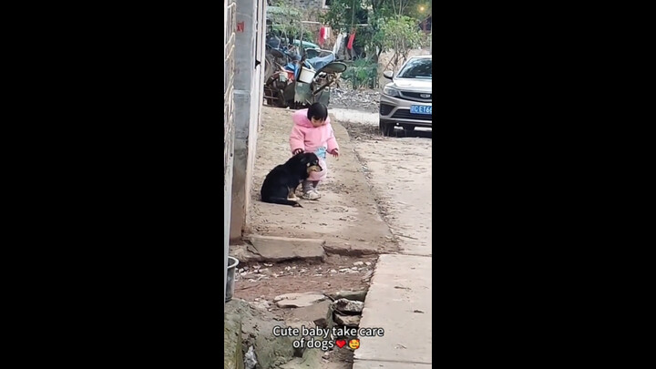 Sau khi xem xong video này, tôi quyết định tha thứ cho thế giới trong 10 phút!