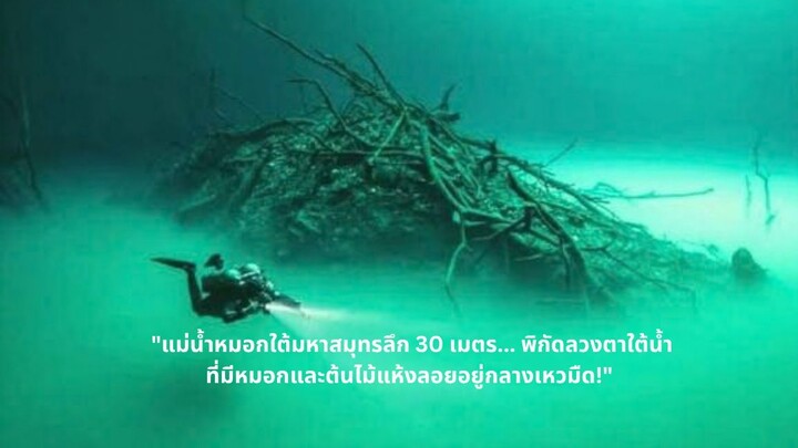"แม่น้ำหมอกใต้มหาสมุทรลึก 30 เมตร... พิกัดลวงตาใต้น้ำ ที่มีหมอกและต้นไม้แห้งลอยอยู่กลางเหวมืด!"