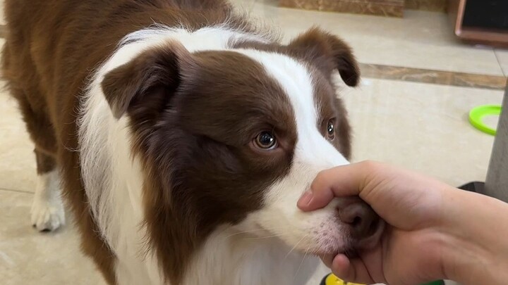 Ngư Tử: Đây chính là cái gọi là ranh giới.