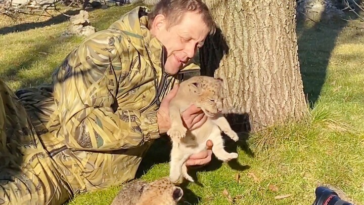 Aku Wawancara Bareng Si Singa Kecil