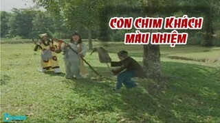 Con Chim Khách Màu Nhiệm - Cổ Tích Việt Nam