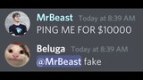 When MrBeast Joins Your Server...