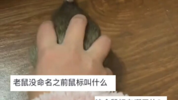 A girl catches a mouse with her bare hands—before long, the little critter is subdued, left only to 