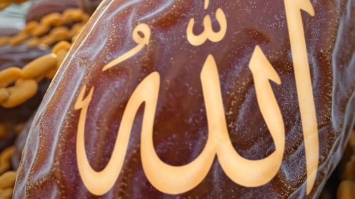 Miracle Of The Desert Date Palm