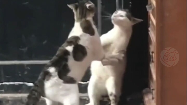 Say that one more time!