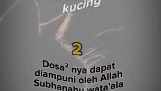 5 JANJI ALLAH BAGI ORANG YANG SUKA MEMELIHARA KUCING😻