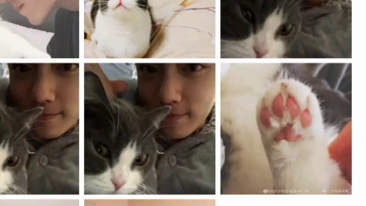 These days, Xiao Zhan posting photos of nuts can even be ranked fourth on the trending searches...