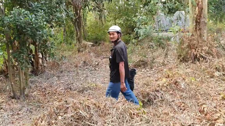 Thăm Lưới Rắn Và Đổ Lợp Tép Về Nấu Canh Ngò Voi Vừa Thơm Vừa Bùi.Góc Làng Quê