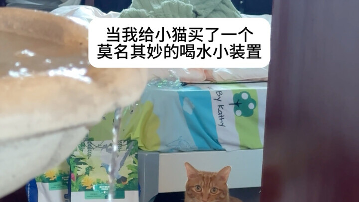 Xiao Mao, minumlah sepuasnya