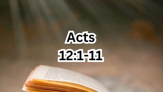 Sunday, June 29, 2025 Solemnity of Saints Peter and Paul, Apostles #faith #readings #ordinarytime202