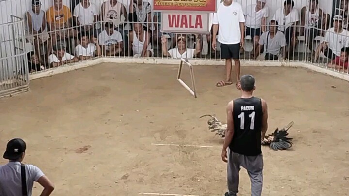 unanG BiTaw Win