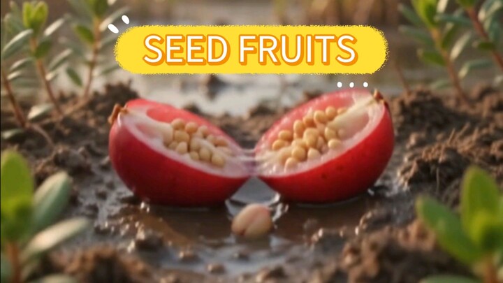 Plant Lab Pro 🌱 | Seed to Fruit Growing Journey 🍓